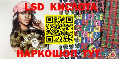 гидра Будённовск