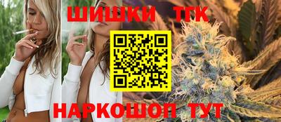 гидра Будённовск