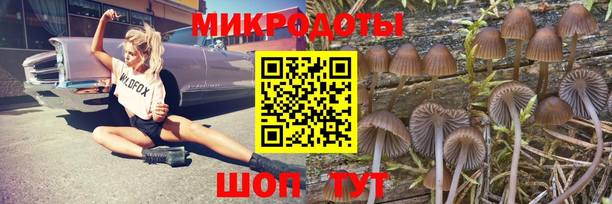 Галлюциногенные грибы MAGIC MUSHROOMS  Галлюциногенные грибы прущие грибы  Вход с VPN  Биробиджан 